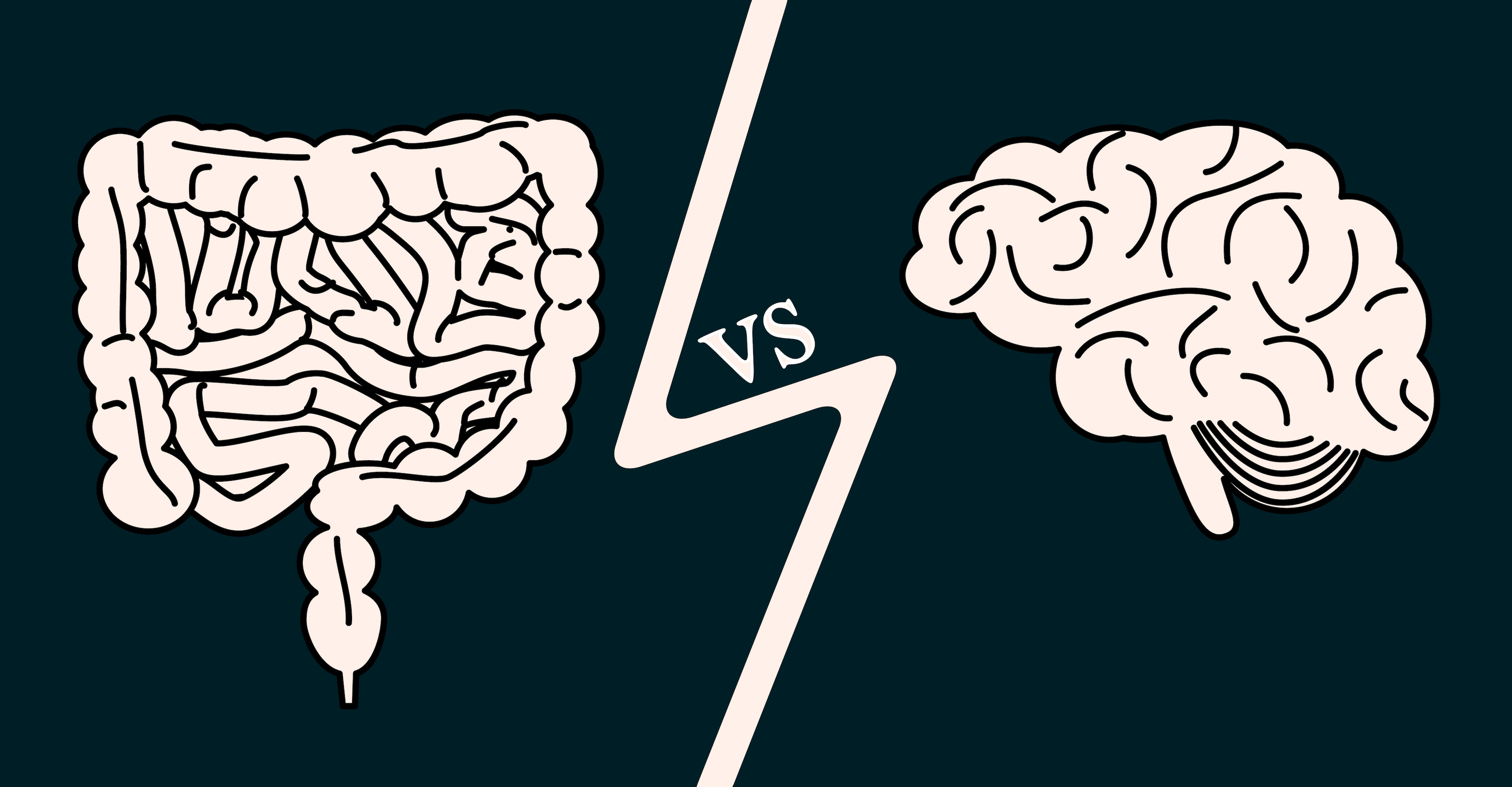 gut vs brain magazine